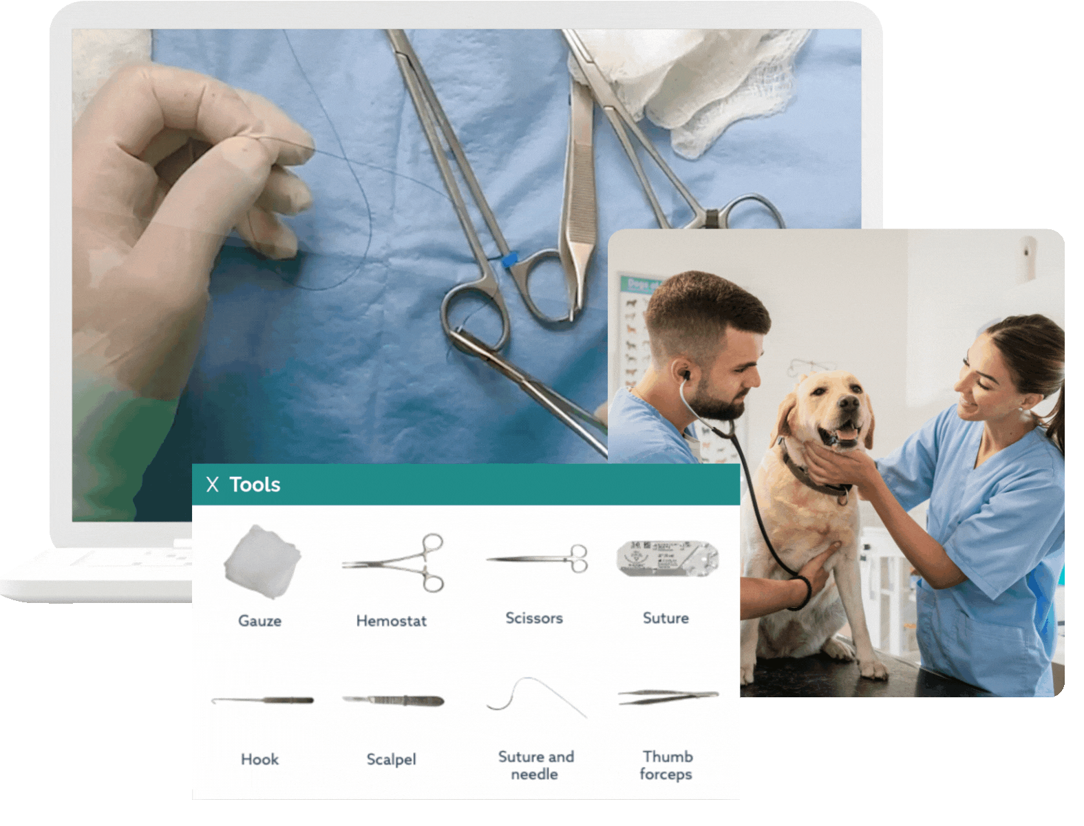 Vet gif